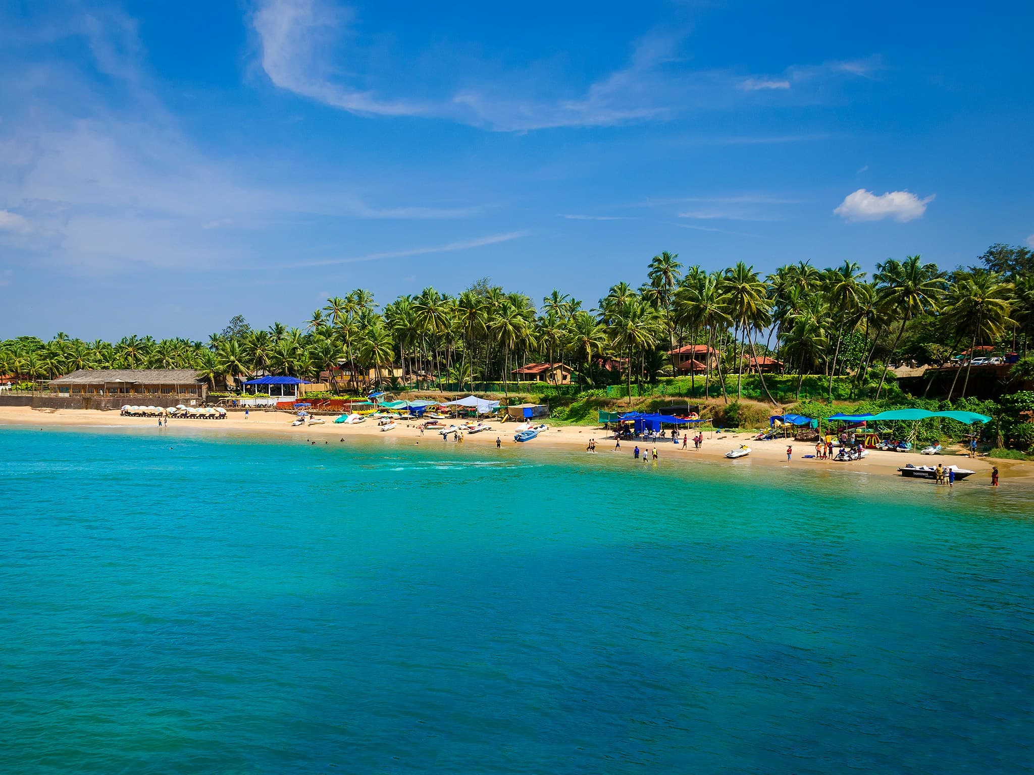 Tropical coastline