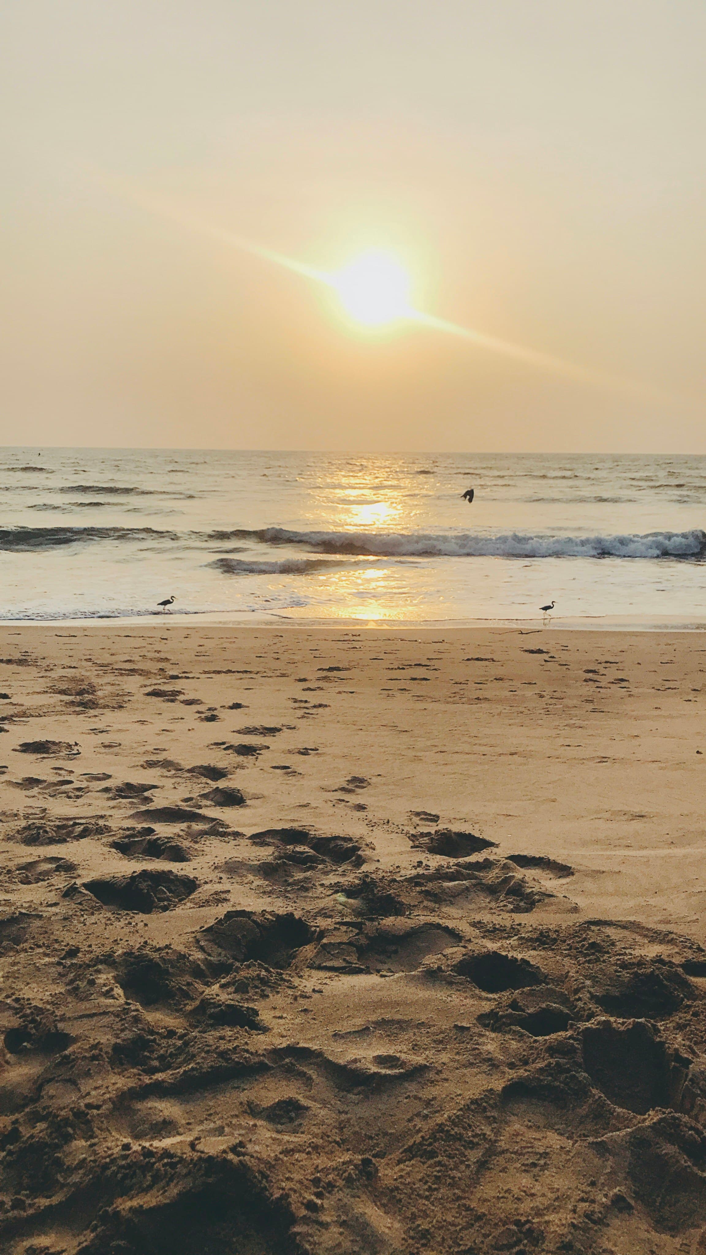 Anjuna Beach