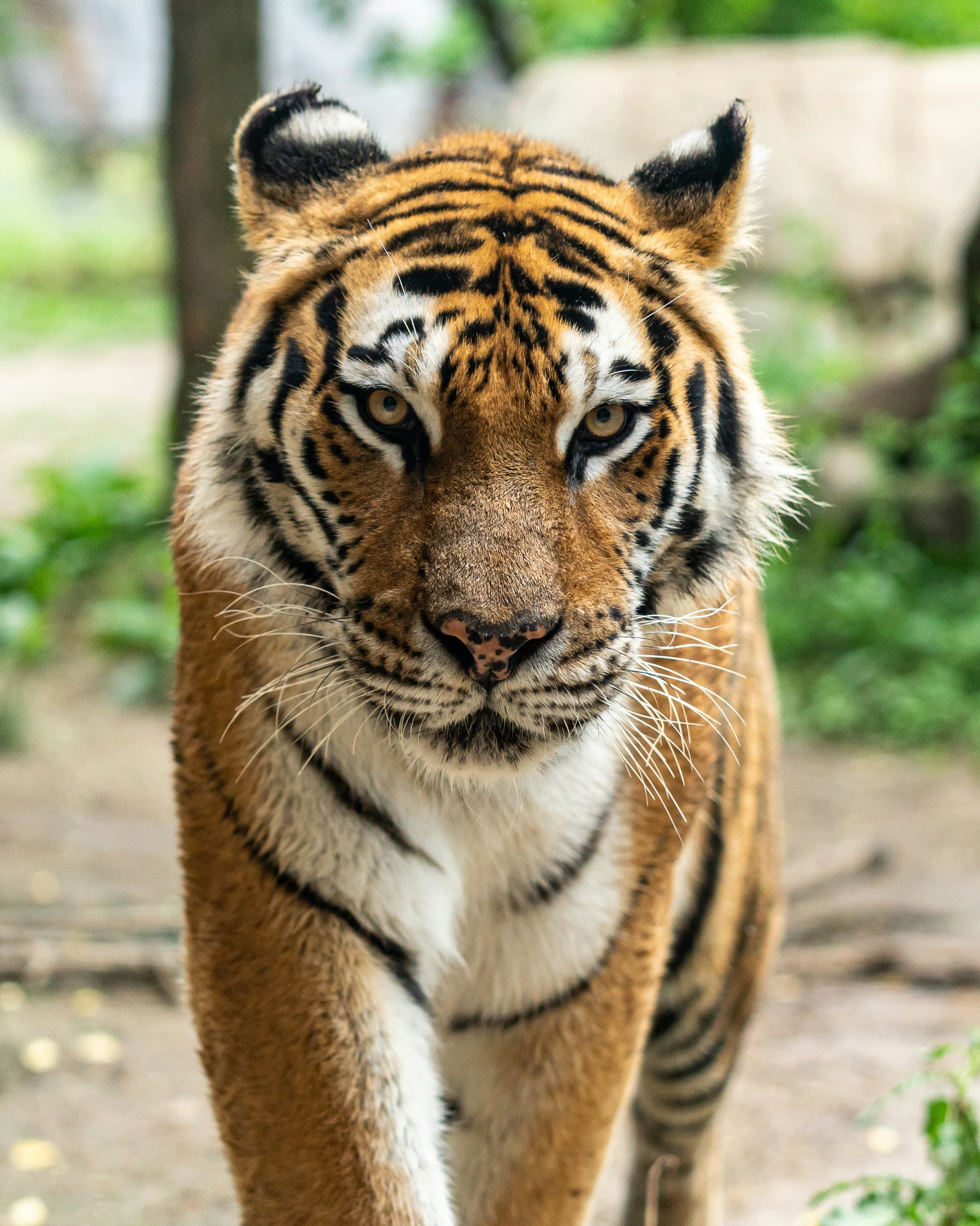 Salim Ali Bird Sanctuary