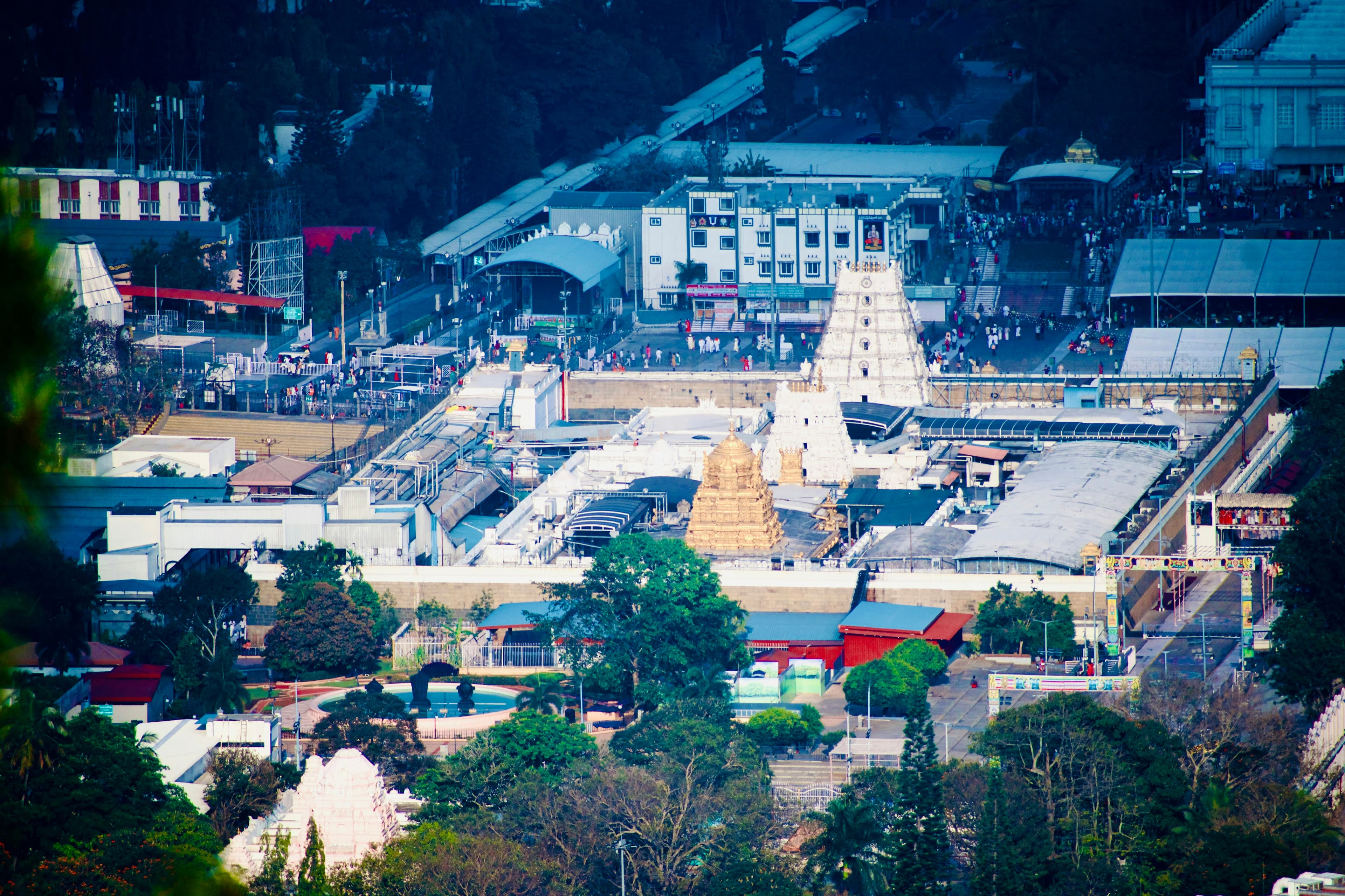 Galtaji (Monkey Temple)