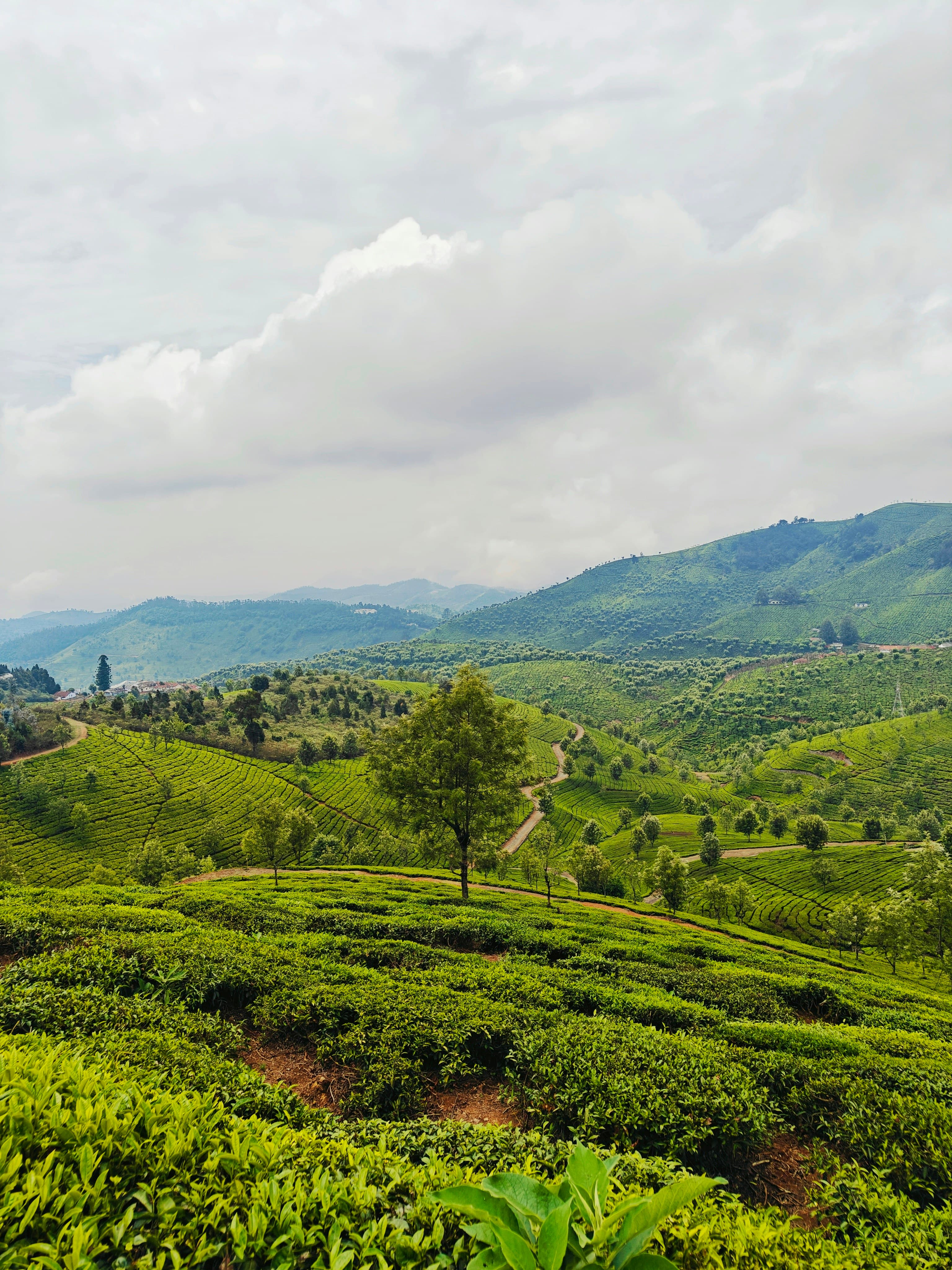 Ooty