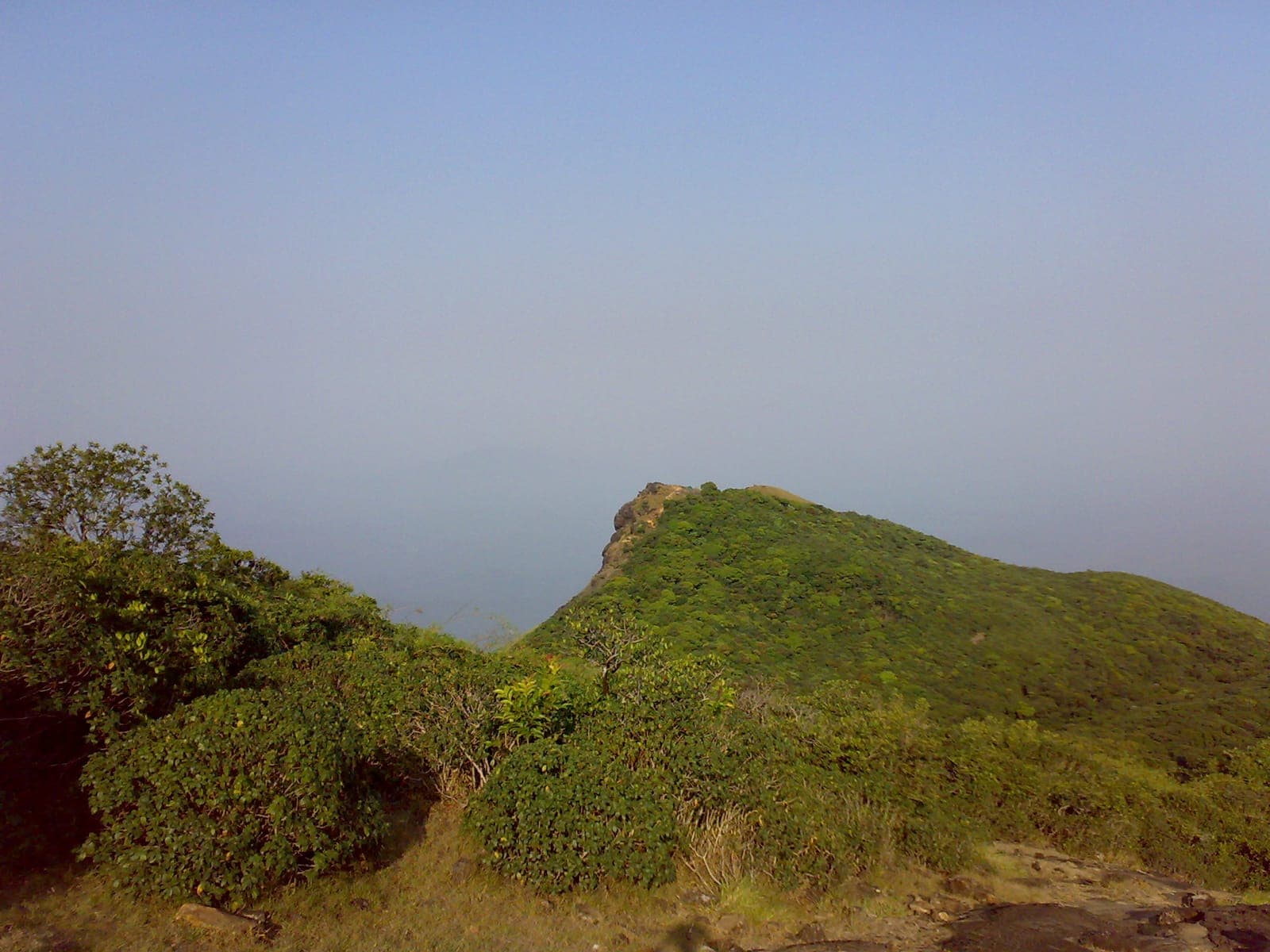 Kumara Parvatha Trek (Pushpagiri, Beedahalli route)