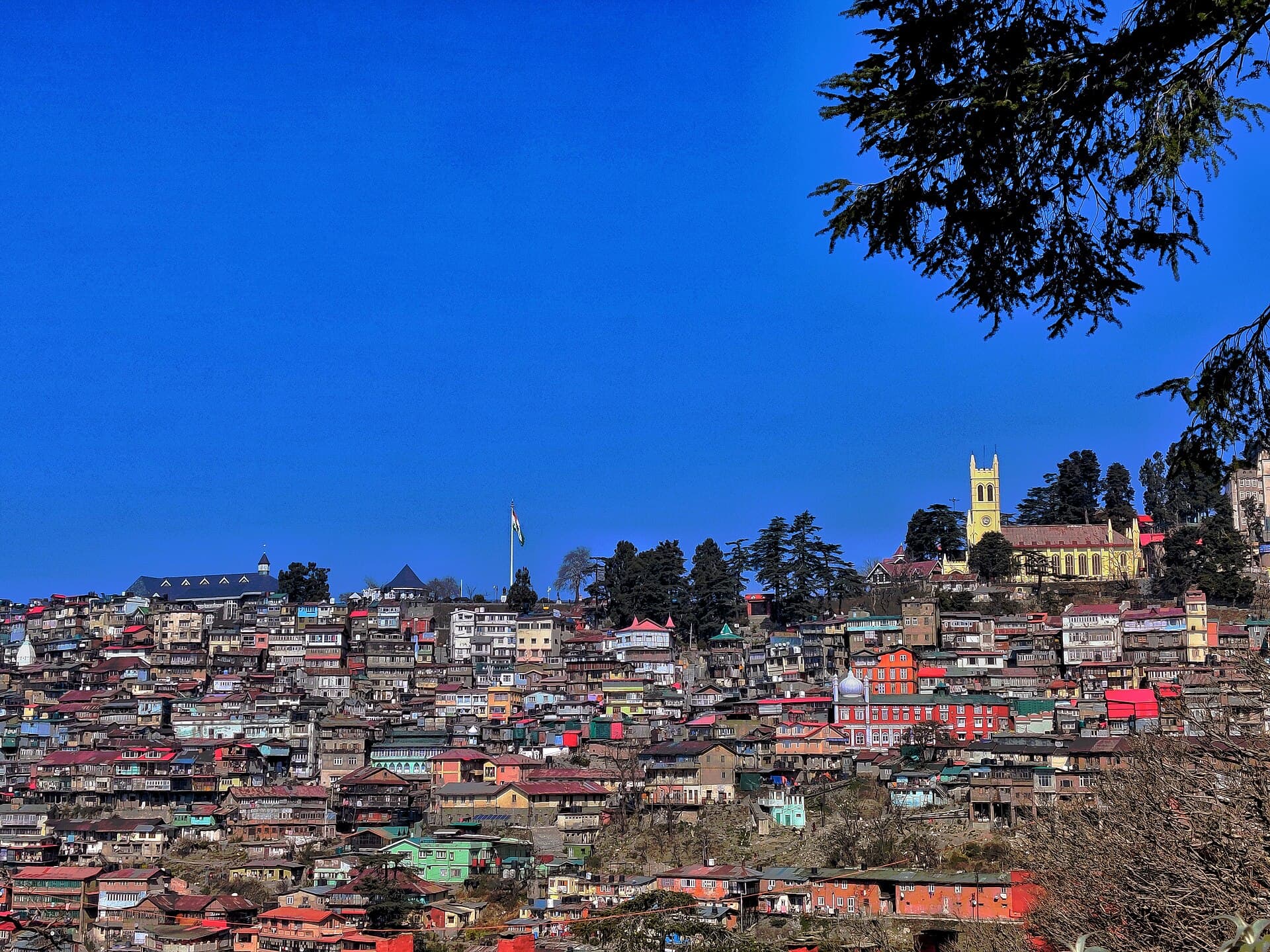 Shimla